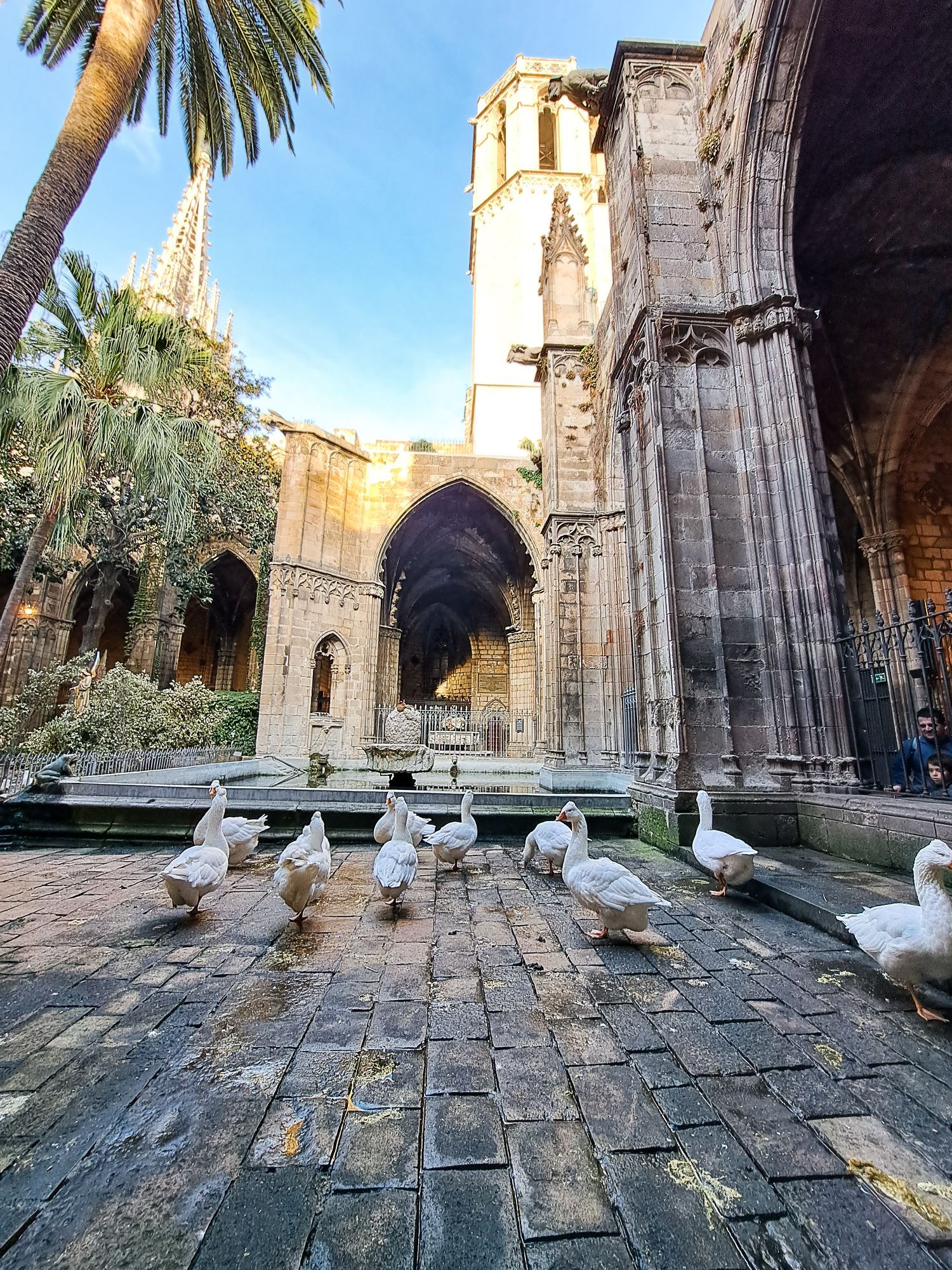 Barcellona Barrì Gotic