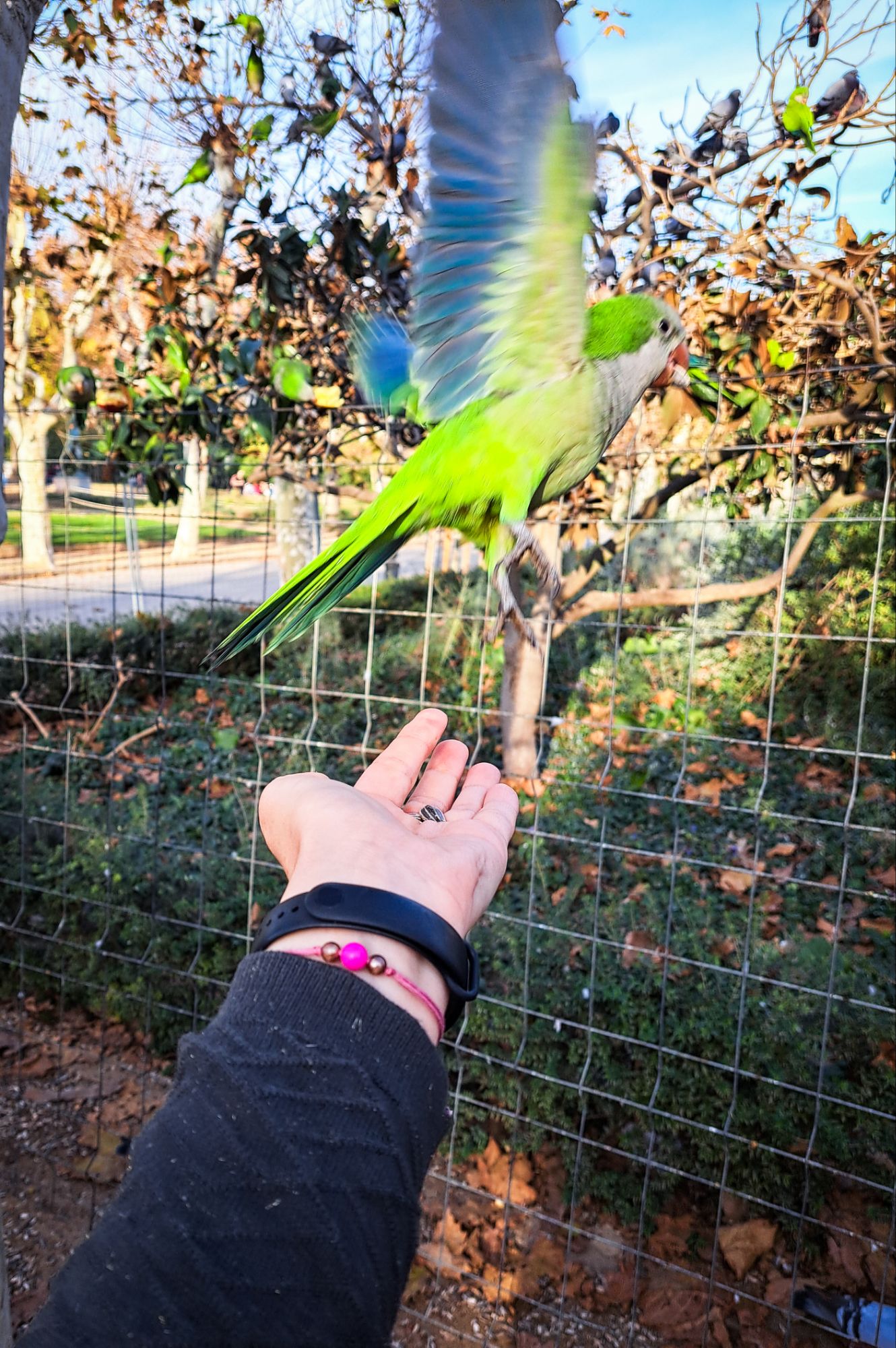 Barcellona Parc de la Ciutadella