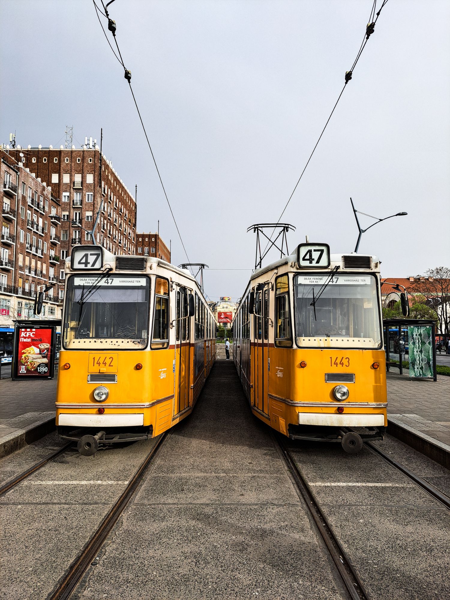 Budapest Tram